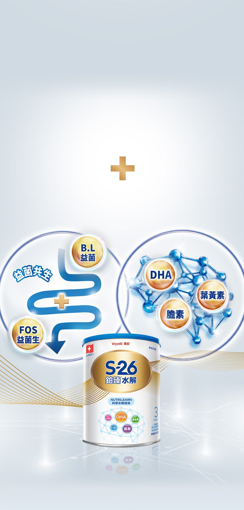 DHA 膽素 葉黃素