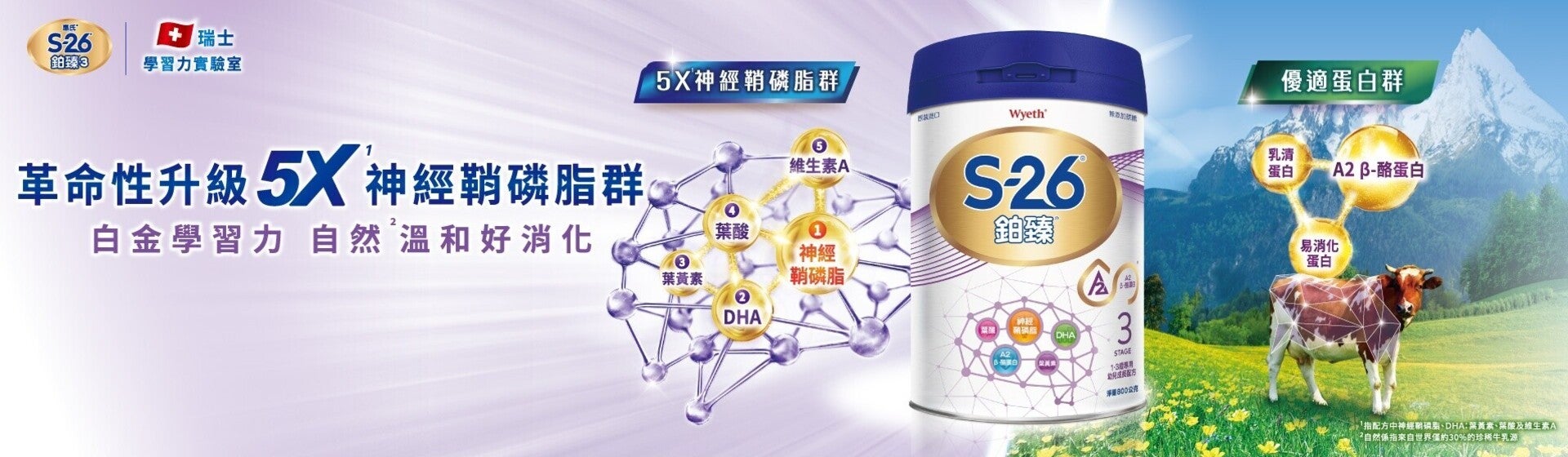 革命性升級5X神經鞘磷脂群